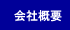 ЊTv